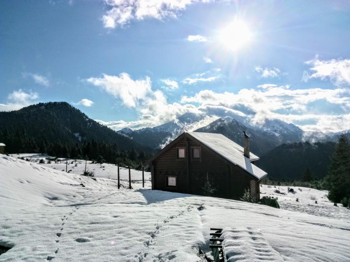 Katafygio Chalet, Krikello Kríkellon Eksteriør billede
