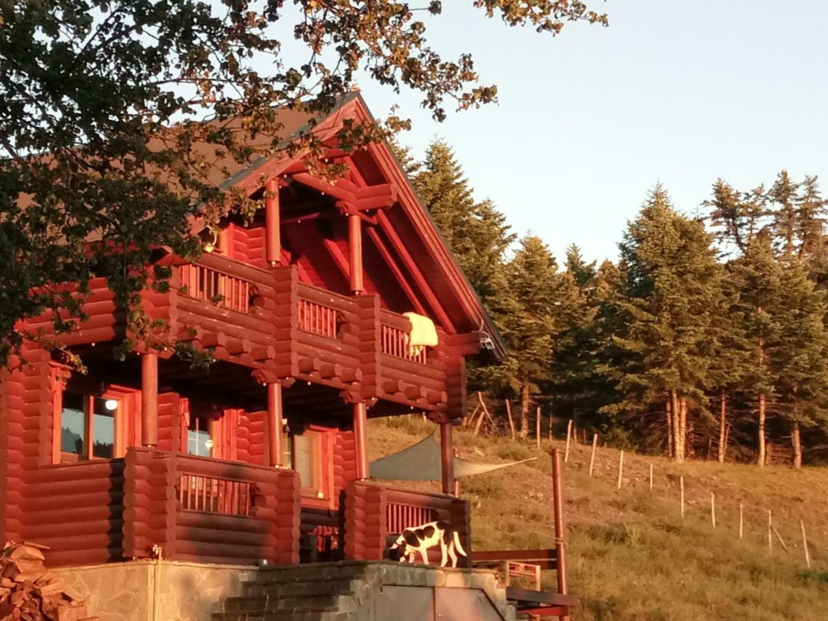 Katafygio Chalet, Krikello Kríkellon Eksteriør billede
